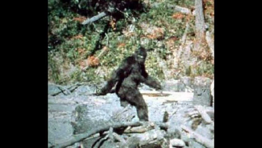 A Big Foot footage